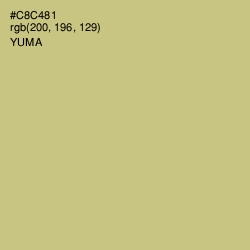 #C8C481 - Yuma Color Image