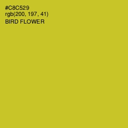 #C8C529 - Bird Flower Color Image