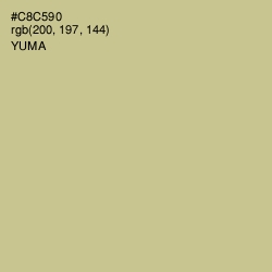 #C8C590 - Yuma Color Image