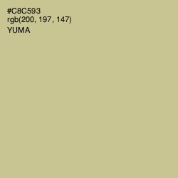 #C8C593 - Yuma Color Image