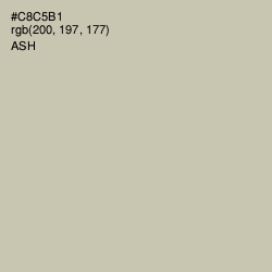 #C8C5B1 - Ash Color Image