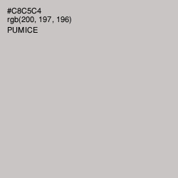 #C8C5C4 - Pumice Color Image