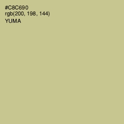 #C8C690 - Yuma Color Image