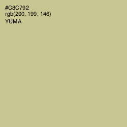 #C8C792 - Yuma Color Image