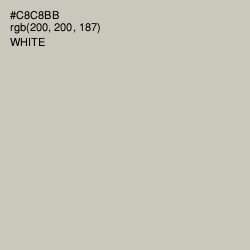 #C8C8BB - Kangaroo Color Image