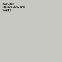 #C8C8BF - Kangaroo Color Image