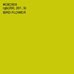 #C8C909 - Bird Flower Color Image