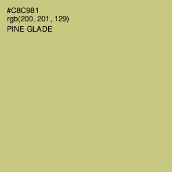 #C8C981 - Pine Glade Color Image