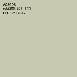 #C8C9B1 - Foggy Gray Color Image