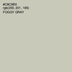 #C8C9B9 - Foggy Gray Color Image