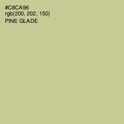 #C8CA96 - Pine Glade Color Image