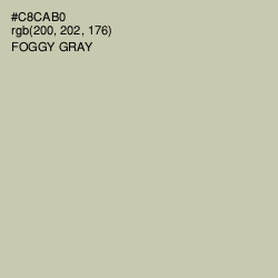 #C8CAB0 - Foggy Gray Color Image