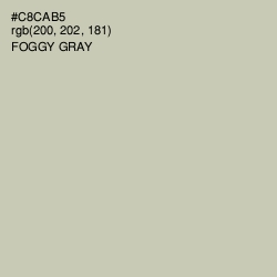 #C8CAB5 - Foggy Gray Color Image
