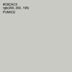 #C8CAC3 - Pumice Color Image