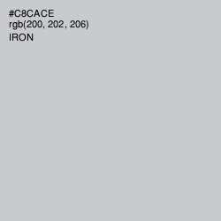 #C8CACE - Pumice Color Image