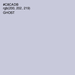 #C8CADB - Ghost Color Image