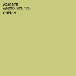 #C8CB7E - Chenin Color Image