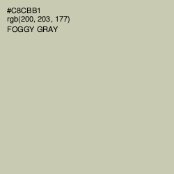 #C8CBB1 - Foggy Gray Color Image