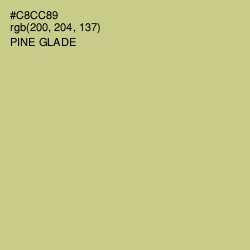 #C8CC89 - Pine Glade Color Image