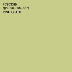 #C8CD89 - Pine Glade Color Image