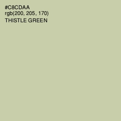 #C8CDAA - Thistle Green Color Image