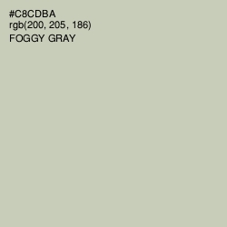 #C8CDBA - Foggy Gray Color Image