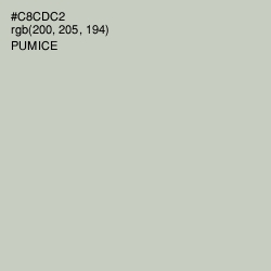#C8CDC2 - Pumice Color Image