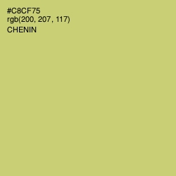 #C8CF75 - Chenin Color Image