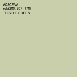 #C8CFAA - Thistle Green Color Image