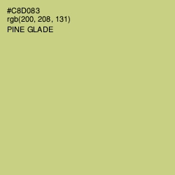 #C8D083 - Pine Glade Color Image