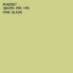 #C8D087 - Pine Glade Color Image