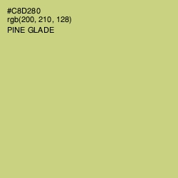 #C8D280 - Pine Glade Color Image
