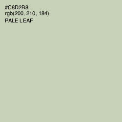 #C8D2B8 - Pale Leaf Color Image
