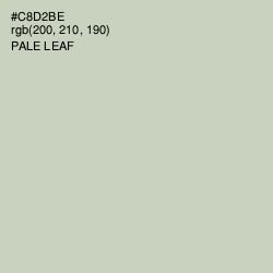 #C8D2BE - Pale Leaf Color Image