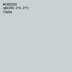 #C8D2D3 - Tiara Color Image