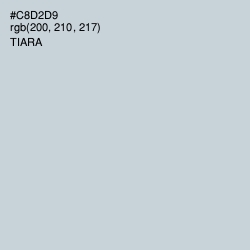 #C8D2D9 - Tiara Color Image