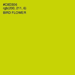 #C8D306 - Bird Flower Color Image