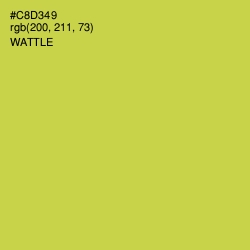 #C8D349 - Wattle Color Image