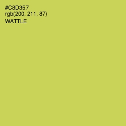 #C8D357 - Wattle Color Image