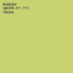 #C8D36F - Tacha Color Image