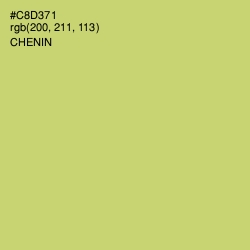 #C8D371 - Chenin Color Image