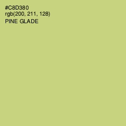 #C8D380 - Pine Glade Color Image