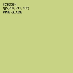 #C8D384 - Pine Glade Color Image