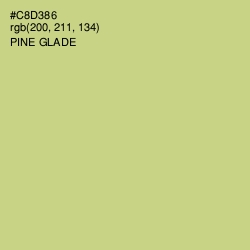 #C8D386 - Pine Glade Color Image