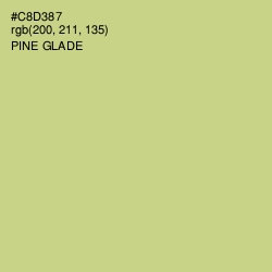 #C8D387 - Pine Glade Color Image