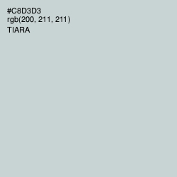 #C8D3D3 - Tiara Color Image