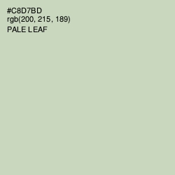 #C8D7BD - Pale Leaf Color Image