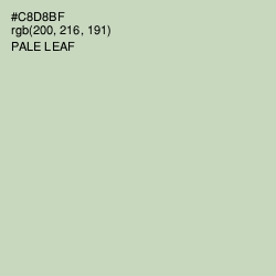 #C8D8BF - Pale Leaf Color Image