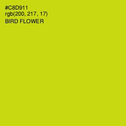 #C8D911 - Bird Flower Color Image