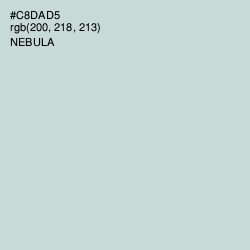 #C8DAD5 - Nebula Color Image